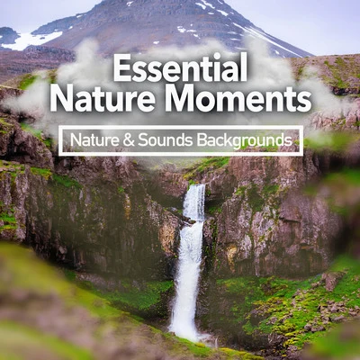 Essential Nature Moments 專輯 Nature & Sounds Backgrounds