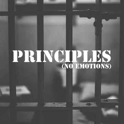 Principles (No Emotions) 专辑 STATIK LNK/Don Kody