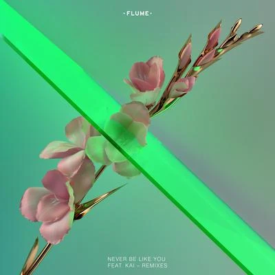 Never Be Like You (Remixes) [ft. Kai] 專輯 Flume