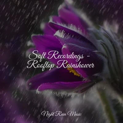 Soft Recordings - Rooftop Rainshower 專輯 Binaural Beats/Sounds Of Nature: Thunderstorm/Sounds Of Nature : Thunderstorm