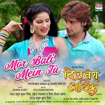 Mor Bali Mein Tu (From Dil Tera Aashiq) 專輯 Priyanka Singh