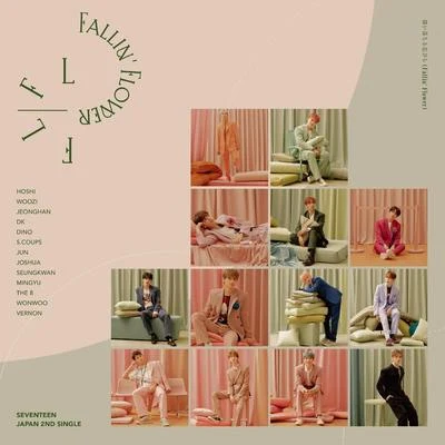 舞い落ちる花びら (Fallin Flower) 專輯 seventeen/New Kids on the Block