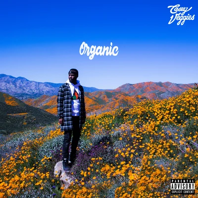 Organic 專輯 LNDN DRGS/Casey Veggies/Jay Worthy/Sean House