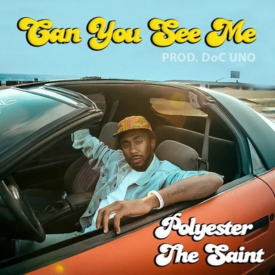 Can You See Me - Single 專輯 Polyester the Saint