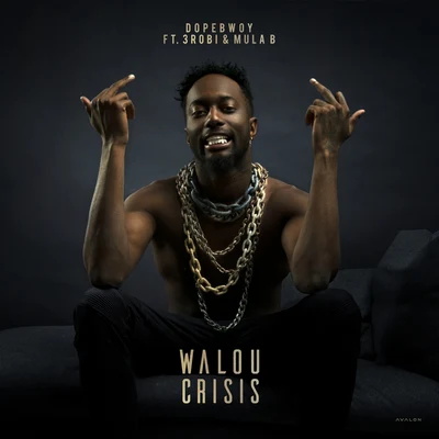 Walou Crisis 專輯 Dopebwoy