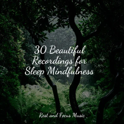 30 Beautiful Recordings for Sleep Mindfulness 專輯 Easy Sleep Music