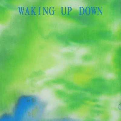 WAKING UP DOWN 專輯 Yaeji/MINA/Machel Montano/Calypso Rose/Aquadrop