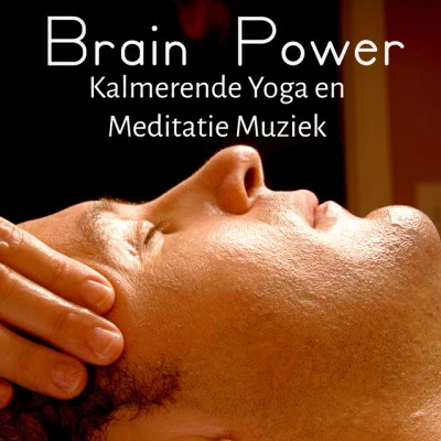 Brain Power - Kalmerende Yoga en Meditatie Muziek voor Diepe Ontspanning Chakra Therapie met Natuur Instrumentale Zachte Geluiden 專輯 Relaxation Study Music