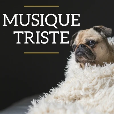 Musique Triste 專輯 Frederic Chopin