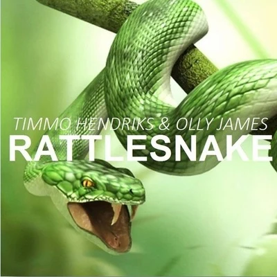 Rattlesnake 專輯 Olly James