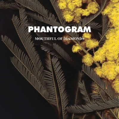 Mouthful Of Diamonds 專輯 Phantogram/Miami Horror