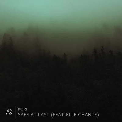 Safe at Last (feat. Elle Chante) 专辑 Kori