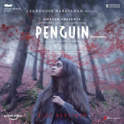 Penguin (Malayalam) (Original Motion Picture Soundtrack) 专辑 Ranina Reddy/Santhosh Narayanan