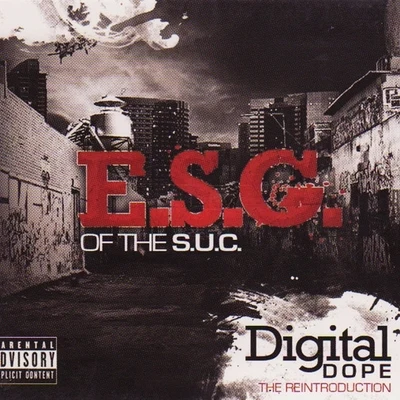 Digital **** (The Reintroduction) 專輯 E.S.G./Camp/D.A./Lil Keke/H.A.W.K.