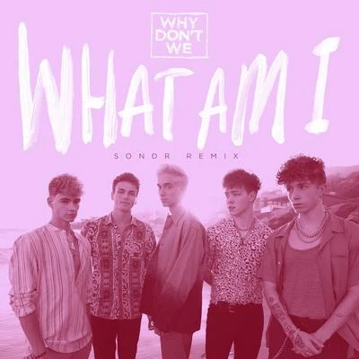 What Am I (SONDR Remix) 专辑 Sondr