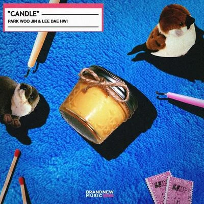 李大輝田雄 Candle