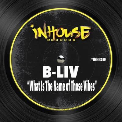 What is the Name of Those Vibes 專輯 B-Liv