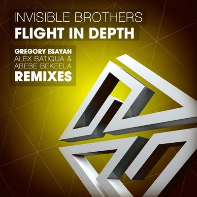 Flight in Depth 专辑 Matty G/Invisible Brothers/Hakan Ludvigson/Rubikon/Reeps