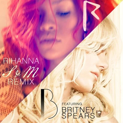 Rihanna S&M (Remix)