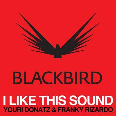 I Like This Sound 專輯 Franky Rizardo/Flashmob/Shaun J. Wright/Soul Central/Ron Flatter