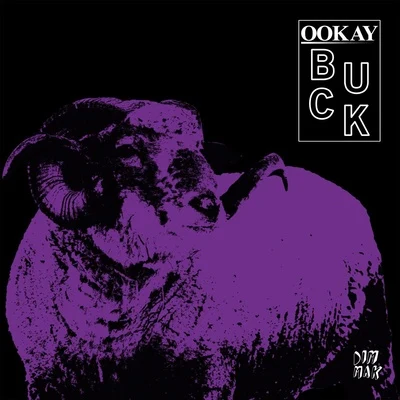 Buck 專輯 Ookay