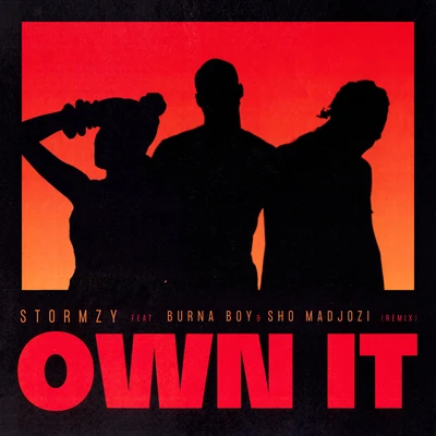 Own It (feat. Burna Boy & Sho Madjozi) [Remix] 專輯 Stormzy