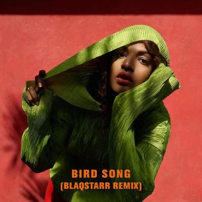 Bird Song (Blaqstarr Remix) 專輯 M.I.A.