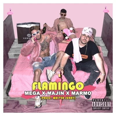 Flamingo 专辑 Mega/Star/Shaolin Soldiers/Profes/King Just