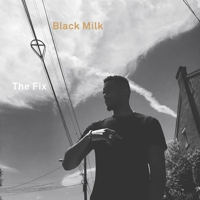 The Fix 專輯 Black Milk/BADBADNOTGOOD