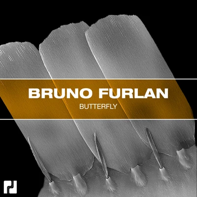 Butterfly 专辑 Bruno Furlan