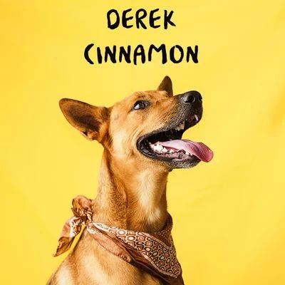 Cinnamon 专辑 Derek/The Dominoes