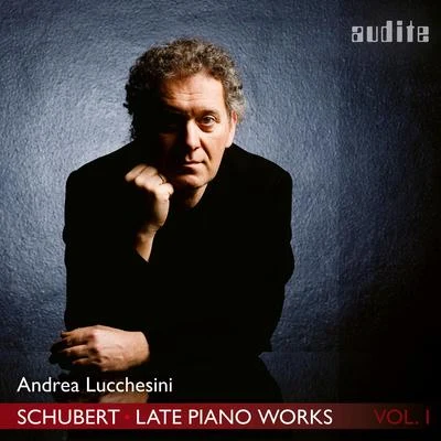 Schubert: Andantino from Piano Sonata No. 20 in A Major, D. 959 專輯 Luciano Berio/Andrea Lucchesini