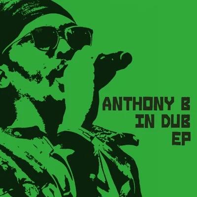 Anthony B In Dub 专辑 Anthony B