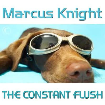 The Constant Flush 專輯 Tash Knight/Mr V./Marcus Knight/Jay-J