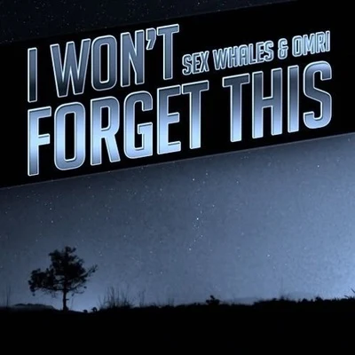 I Won&#x27;t Forget This (Ben Walter Edit) 专辑 Ben Walter/Ian Urbina