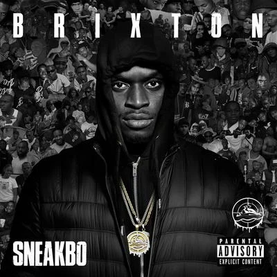 **** It 专辑 Sneakbo