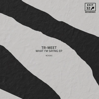 What Im Saying 專輯 TR-MEET/Tommy Vee