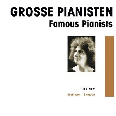 Grosse Pianisten - Elly Ney 专辑 The Chicago Symphony Orchestra/Elly Ney/London Festival Orchestra/Arthur Rubinstein/PHILHARMONIA ORCHESTRA