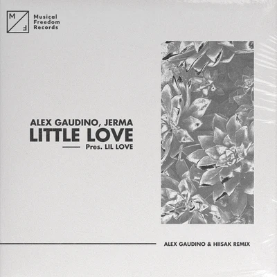 Lil' Love Little Love (pres. Lil&#x27; Love) [Alex Gaudino & Hiisak Remix]