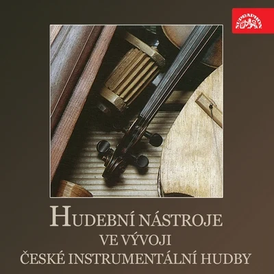 Vaclav Jan Sykora Hudební Nástroje Ve Vývoji České Instrumentální Hudby