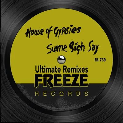 Sume Sigh Say (Ultimate Remixes) 专辑 Convextion/Octave One/House of Gypsies/Gemini/Los Hermanos