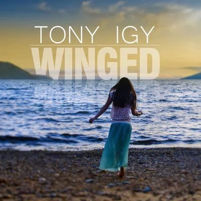 Winged 专辑 Tony Igy