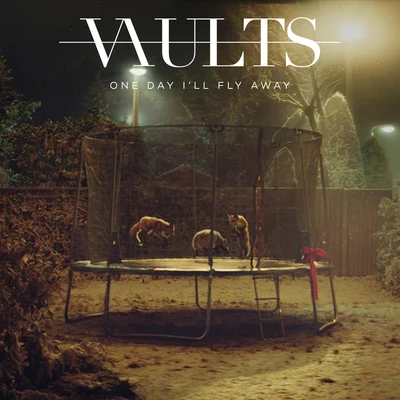 One Day Ill Fly Away 專輯 Vaults