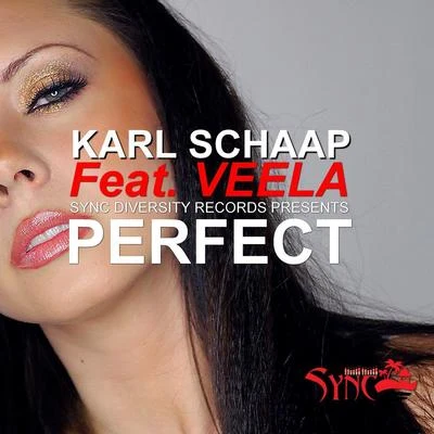 Perfect (feat. Veela) 专辑 Sweety/Veela/Misael Gauna/Nexus/Juggernaut