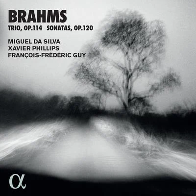 Brahms: Trio, Op. 114 & Sonatas, Op. 120 专辑 Xavier Phillips