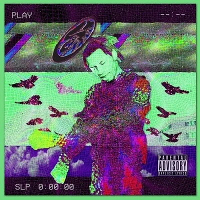 32 ZelPlanet Shrooms 专辑 Andrew Broder/dua saleh/Denzel Curry