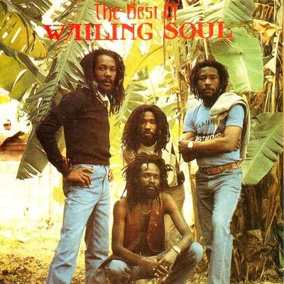 The Best of the Wailing Souls 专辑 Bunny Wailer/Wailing Souls