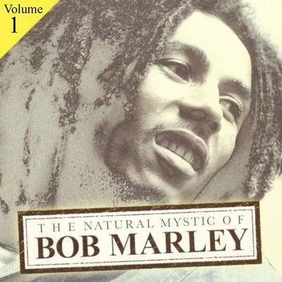 The Natural Mystic Of Bob Marley Volume 1 專輯 Kim Hoorweg/Bob Marley/Harry James/Dusty Ciggaar/Don George