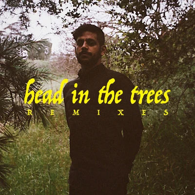 Head In The Trees (Remixes) 專輯 Hotel Garuda