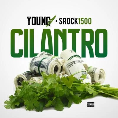 Cilantro (feat. Srock1500) 专辑 GS/Young J/Black/Cisco/Nardo C